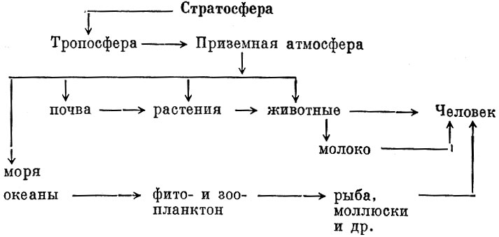 Схема путей распространения в биосфере радионуклидов