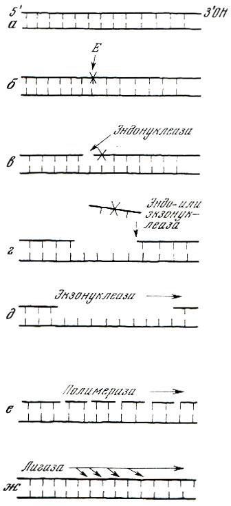    ( , 1969):  -  ;  -  ,  - ,   ;  -       ;  -            ;  -   ;  -   ;  -     