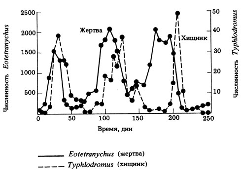 . 12.39.      Typhlodromus    -   Eotetranychus-  . (. . Sands (1978) Problems in Ecology, Mills, Boon Ltd.)