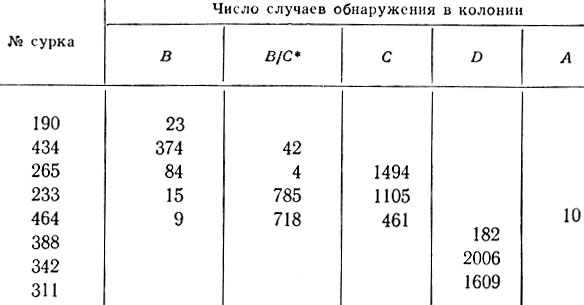 Таблица 4. Определение колоний по частоте использования различных нор сурками