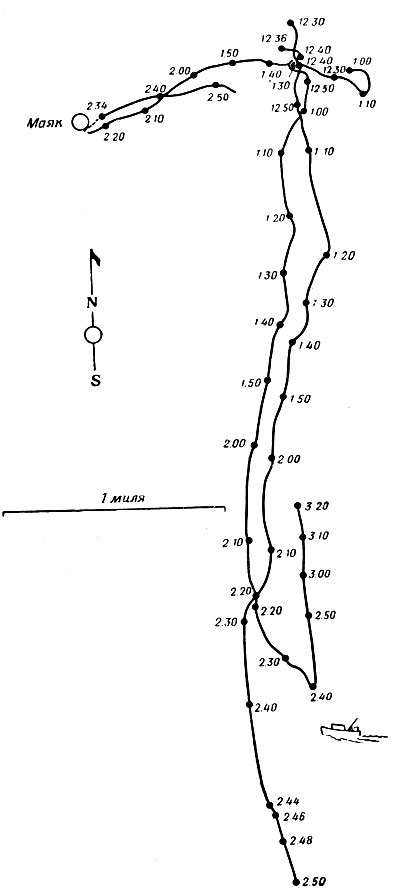 Фиг. 3. Результаты прослеживания трех черепах вида Caretta caretta у Кедровой отмели (см. фиг. 2). К черепахам были прикреплены гелиевые баллоны. Прослеживание проводилось при помощи двух теодолитов. Положение черепах отмечалось каждые 2-3 мин