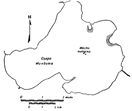 Фиг. 1. Озеро Мендота. Заштрихованы основные районы нереста белого морского окуня