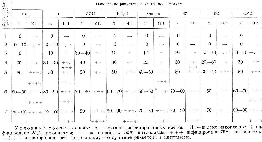 Таблица 9. Сравнительная оценка размножения риккетсий Провачека в различных клеточных культурах (заражающая доза 105 - 106 ID50)