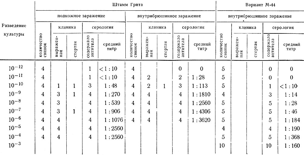 Таблица 13. Восприимчивость морских свинок к эталонному штамму Грита риккетсий Бернета и его варианту М-44